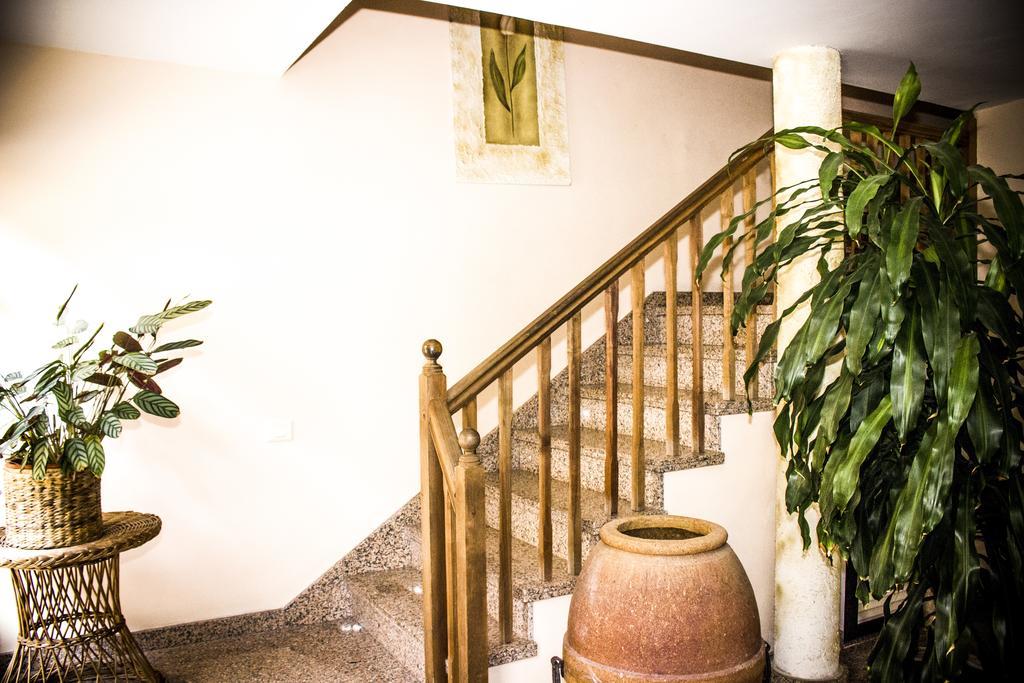 Apartments San Marcos 이코드레로스비노스 외부 사진