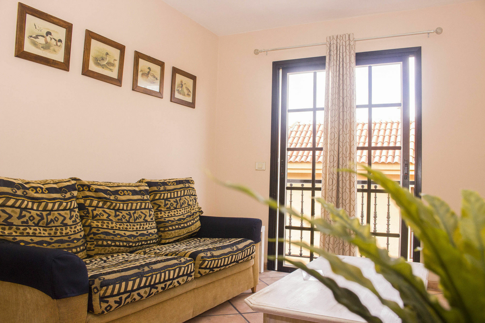 Apartments San Marcos 이코드레로스비노스 외부 사진